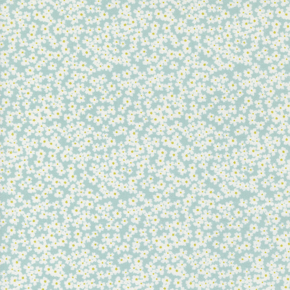 Sweetwater Shine Daisies - Cotton Print