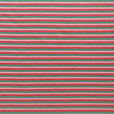 Watermelon Stripe - Cotton Jersey